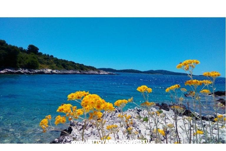 Apartments Anna – photo 16