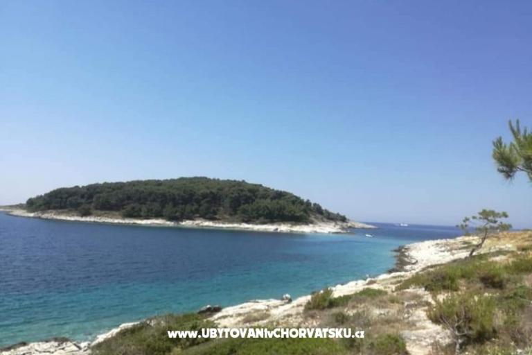 Apartments Anna – photo 17