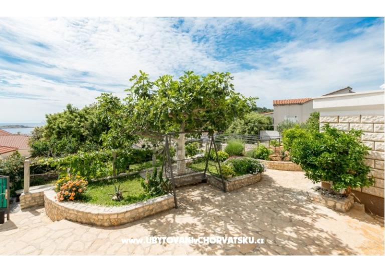 Apartments Iva – photo 2