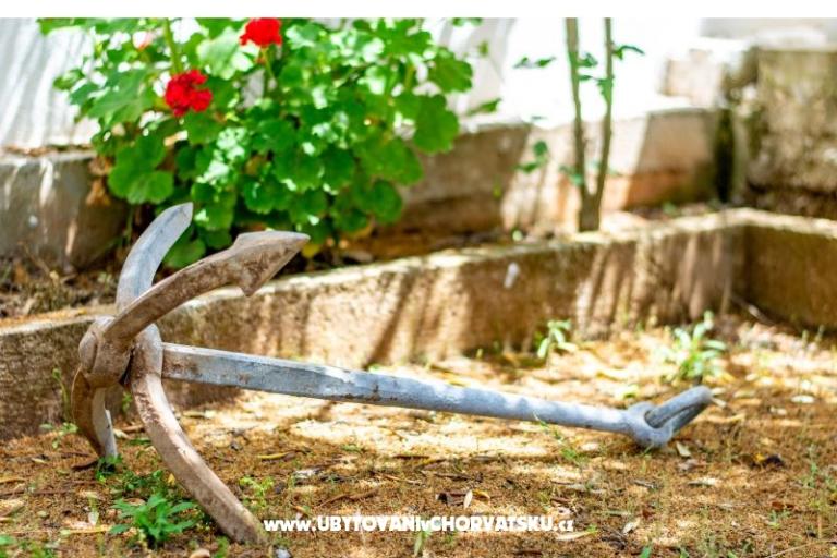 Apartments Mia – photo 9