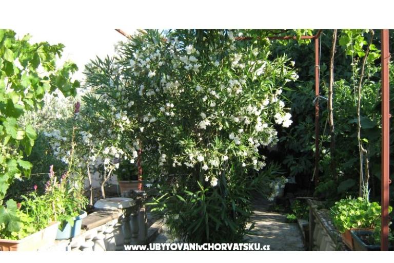 Apartments Miki – photo 8