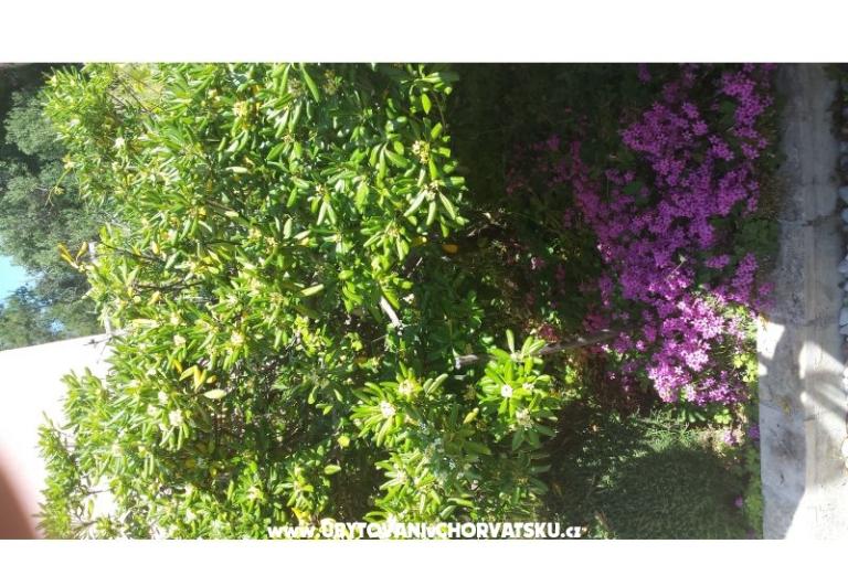 Apartments Perak – photo 10