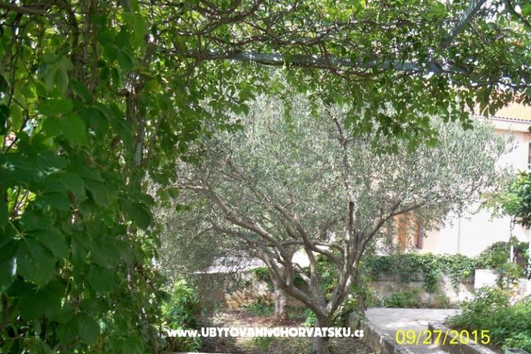 Apartment VITO Stara Draga – photo 16