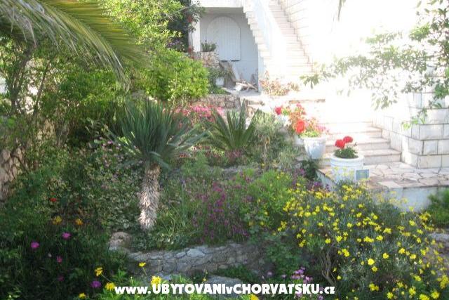 Villa Jozo Apartments – photo 5