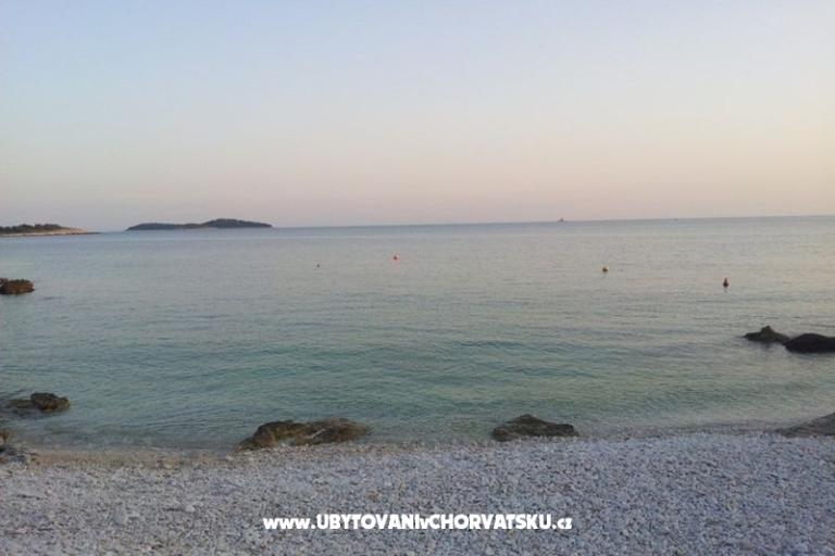 Apartments Milic – photo 11