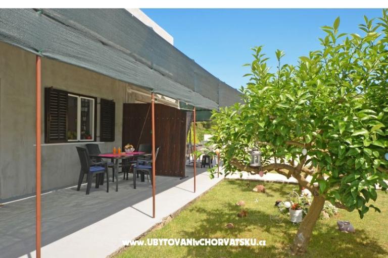 Apartments Caleta – photo 17