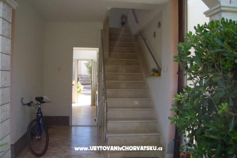 Apartments Knezevic – photo 7