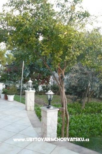 Apartments Milica – photo 5