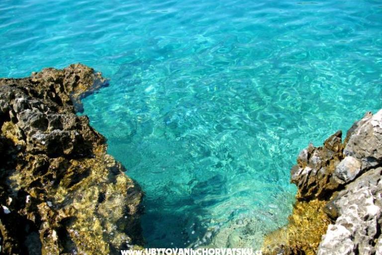 Breathtaking sea view – photo 8