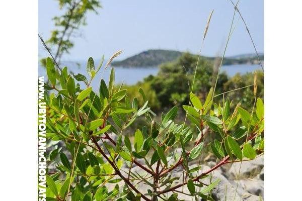 Holiday Apartments Lucic – photo 100