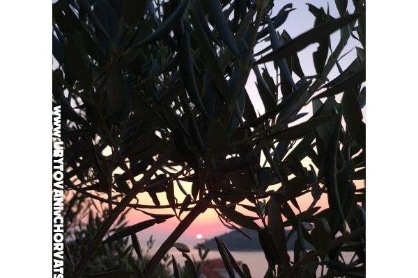 Holiday Apartments Lucic – photo 105