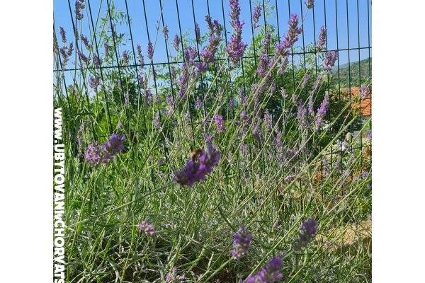 Holiday Apartments Lucic – photo 98