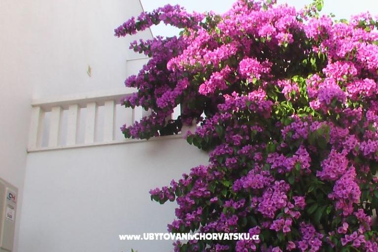 Jamnik – photo 18