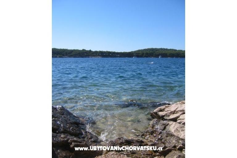 House Anita – photo 16