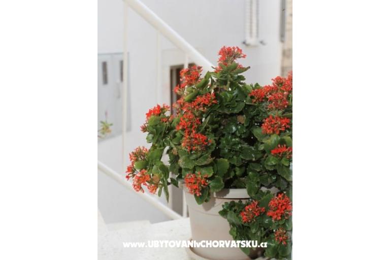 House Anita – photo 17