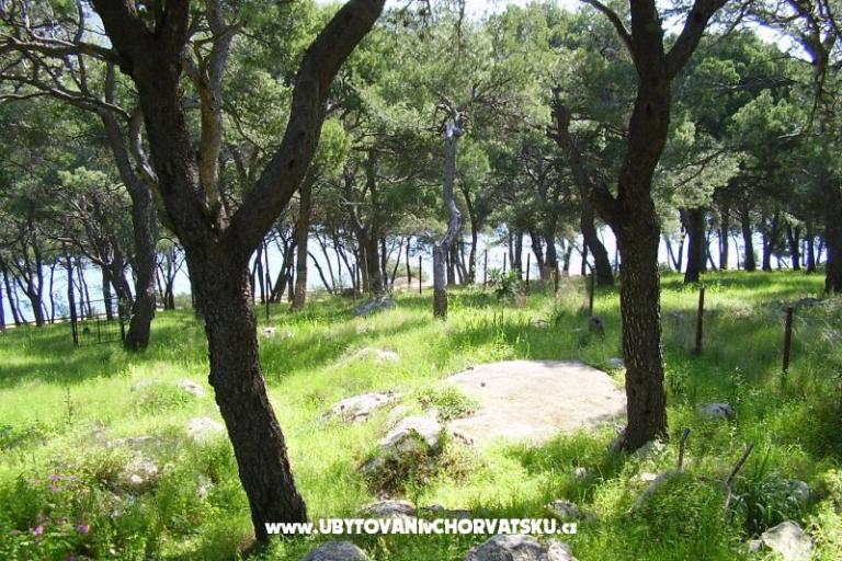 Vacation house Stari mlin – photo 12