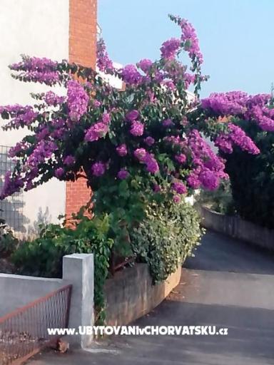 Matanovi dvori – photo 7