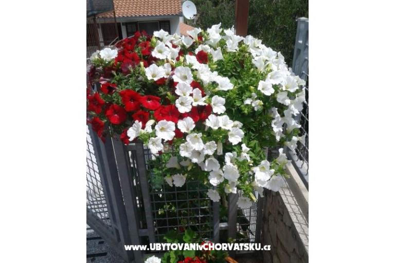 Apartments Mira Mark Ražanj Rogoznic – photo 7