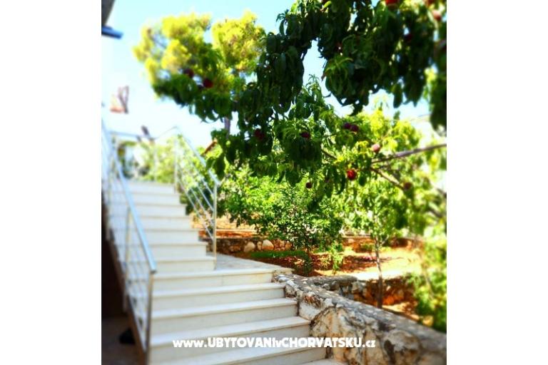 Sapa Apartment – photo 4