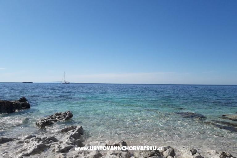 SEA YA – photo 9