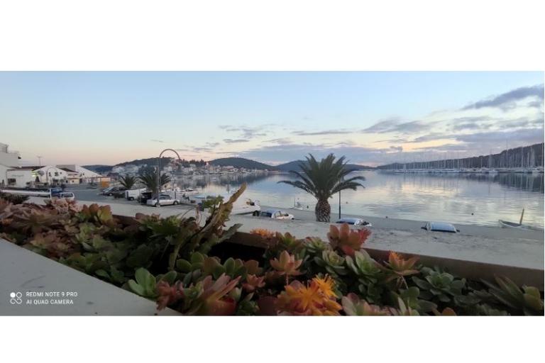 Vila Ruža – photo 5