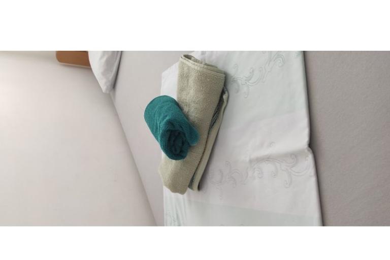 Vila Ruža – photo 7