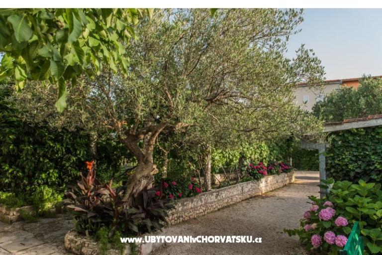 Villa Perla – photo 10