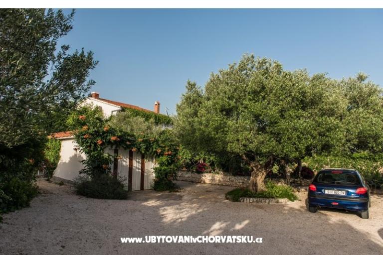 Villa Perla – photo 15