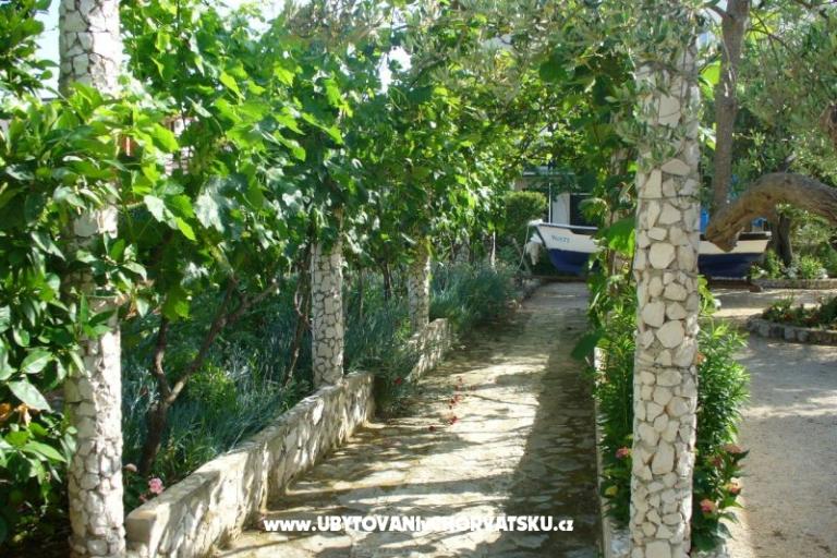 Villa Perla – photo 4