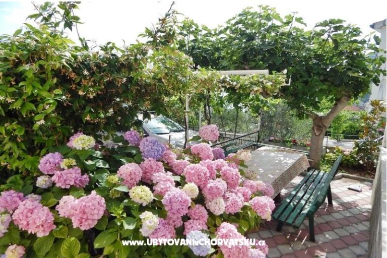 Villa Vuckovic – photo 4