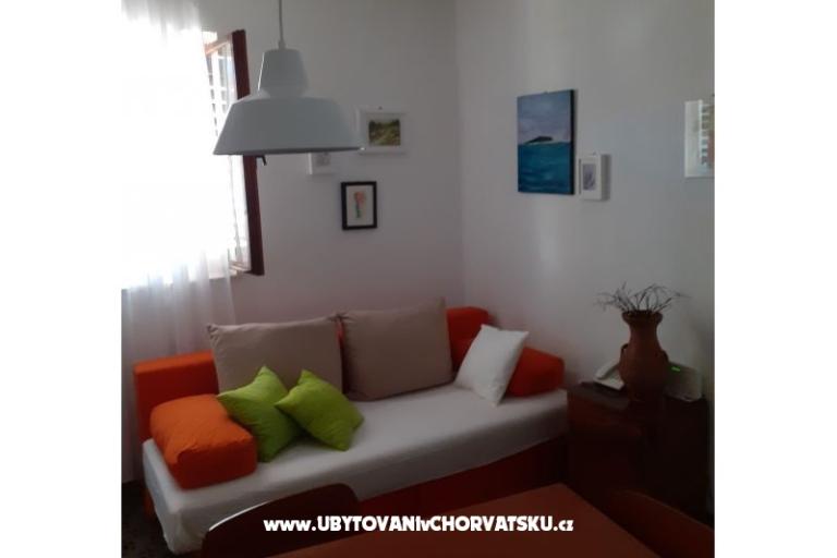 VIVA Lozica – photo 11