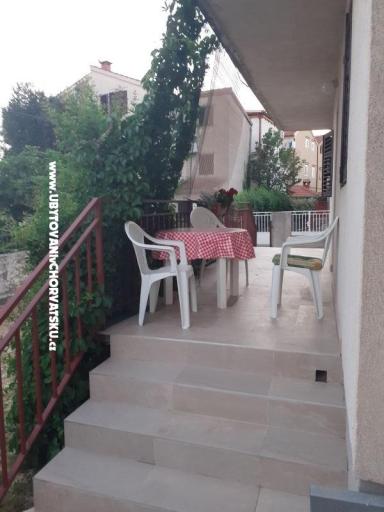 VIVA Lozica – photo 15