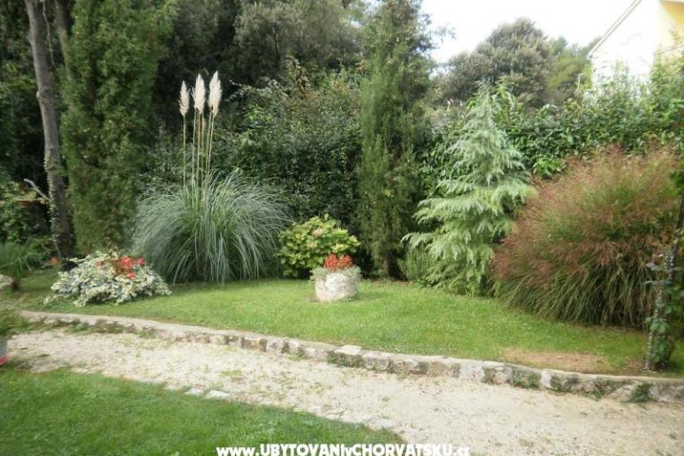 Apartments Ana – photo 14