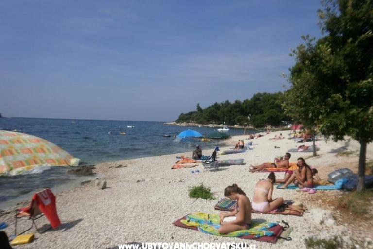 Apartments Ana – photo 16