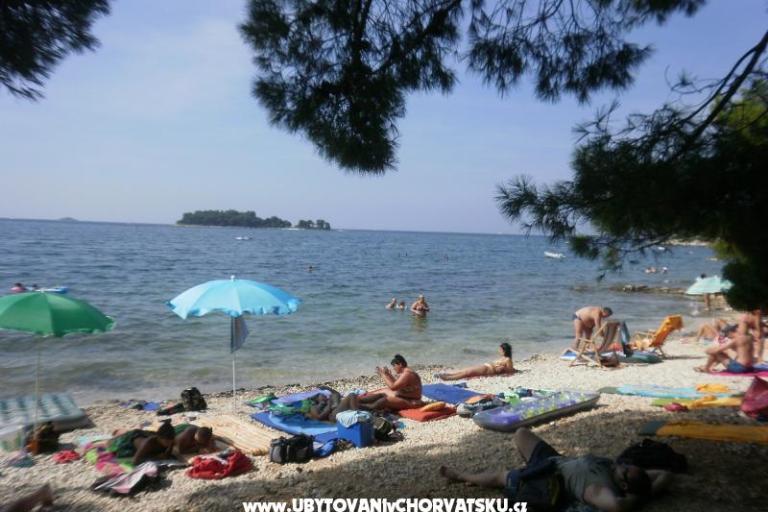 Apartments Ana – photo 17