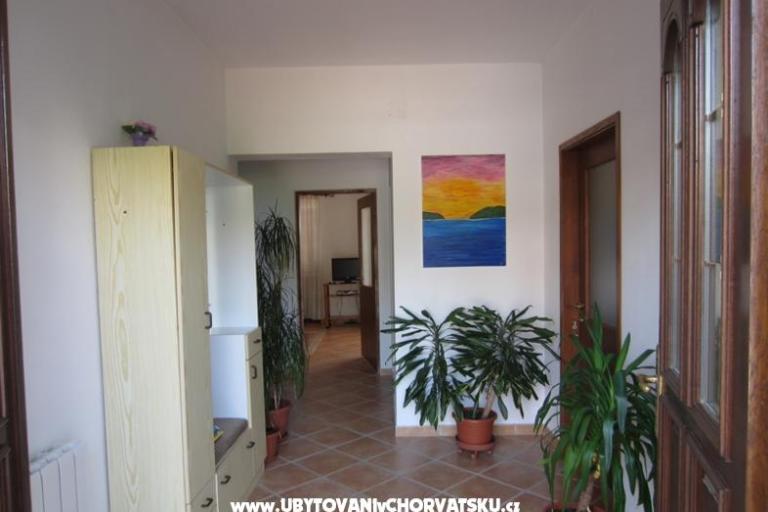 Apartments Andrea – photo 7