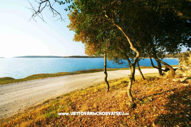 Apartments Centar Bale – photo 8
