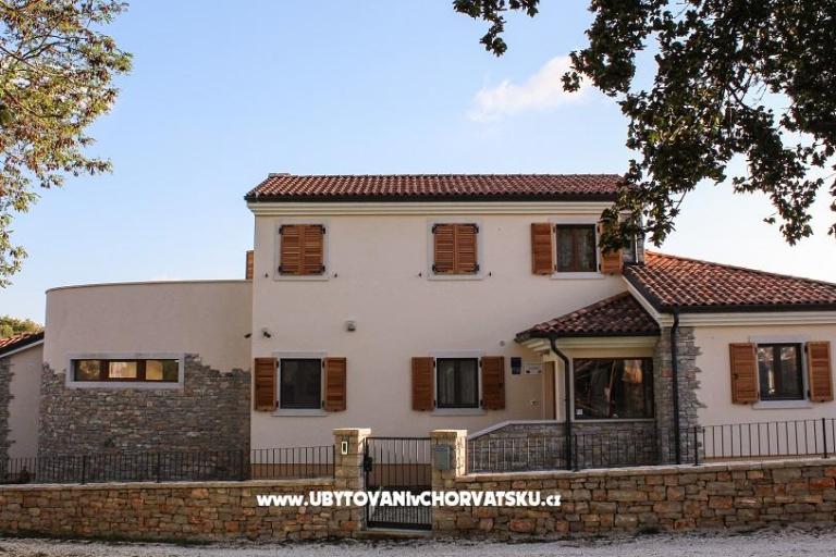 Arton Vila – photo 8