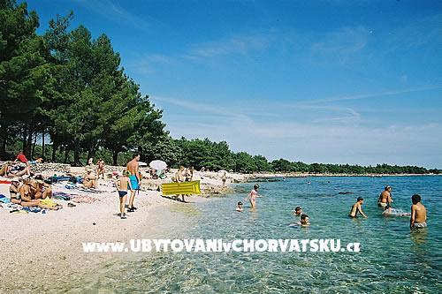 Family House Ivancevic – photo 5