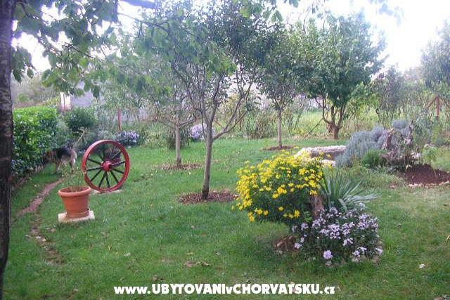Vila Kristina – photo 4