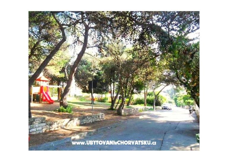 GREEN GARDEN & BUENA VISTA  – photo 8