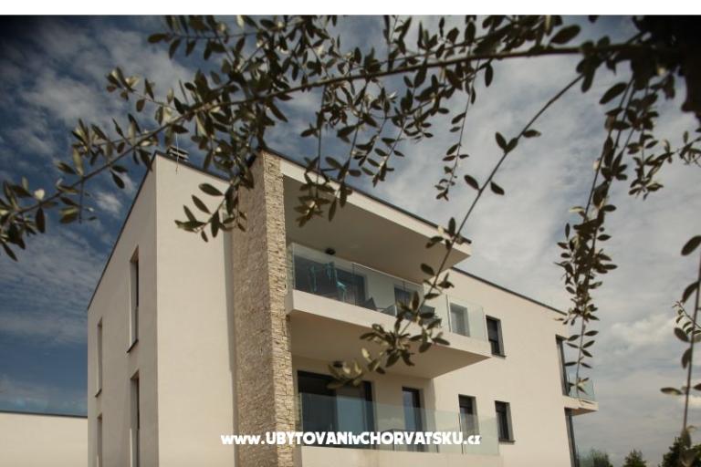 Villa Adriatic Istra – photo 4