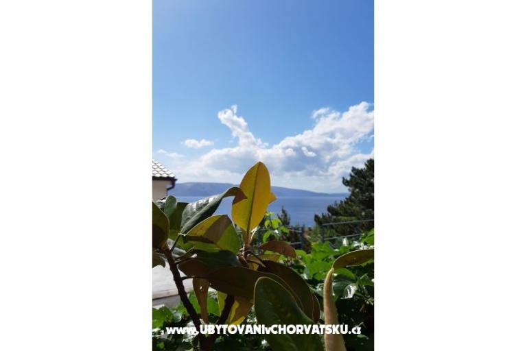 Apartments  MaDi  – photo 8