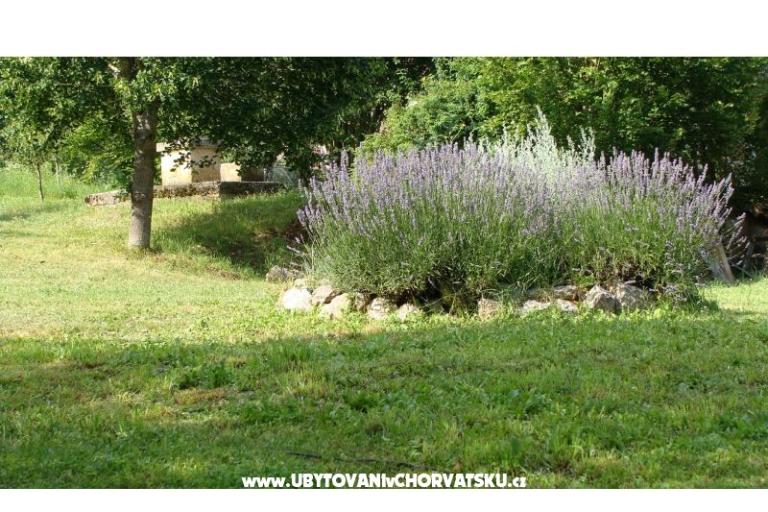 Vacation house Biserka – photo 10