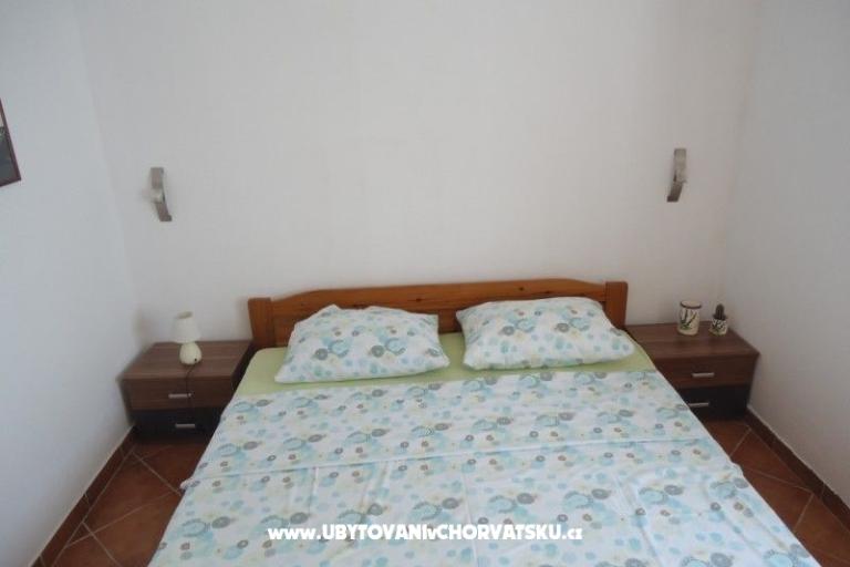 Renata – photo 11