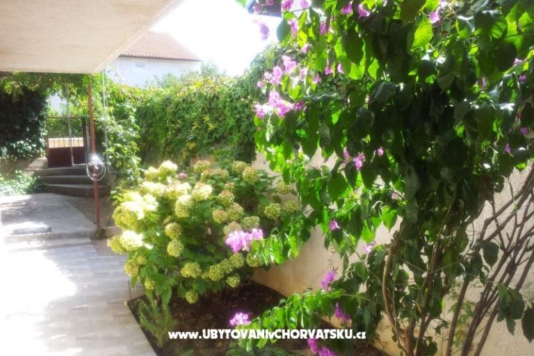 Apartments Baranovic – photo 18