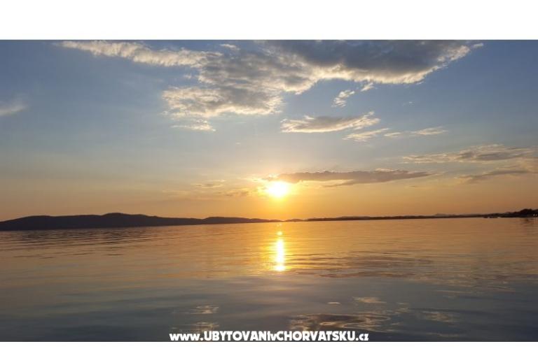 Apartments Cvita i  Luca  – photo 6