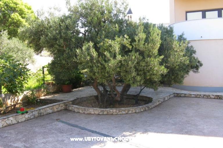 Apartments Josip Lela – photo 3