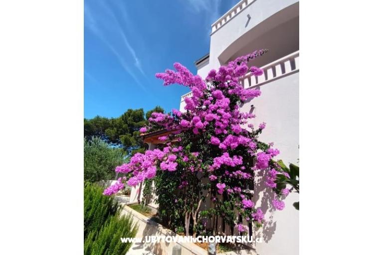 Apartments Pinea Sol – photo 3