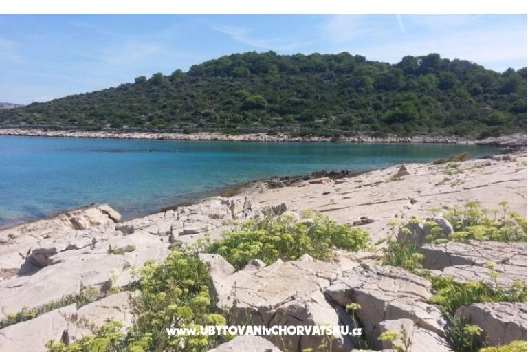 Apartment Adriatic – photo 16
